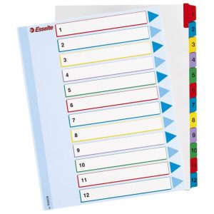 Pregrada kartonska presvučena filmom A4 kolor 12 listova Esselte 100209