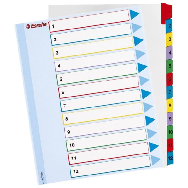 Pregrada kartonska presvučena filmom A4 kolor 12 listova Esselte 100209