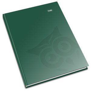 Bilježnica tvrdi uvez A4 karo 192lista 60g jednobojna Educa