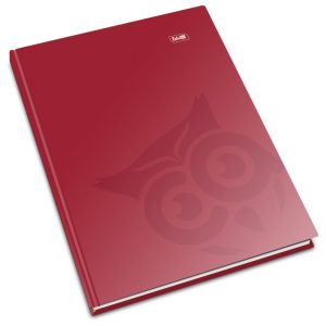 Bilježnica tvrdi uvez A4 visoki karo 192lista 60g jednobojna Educa