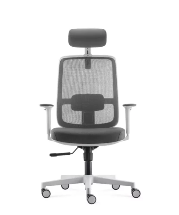 Uredska Stolica PREMIUM ERGO Basic Bijelo-Siva