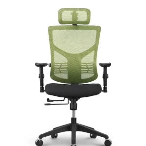 Uredska Stolica PREMIUM ERGO Essent Zelena