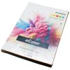 Papir IQ Intenziv A4 80g pakiranje od 250 listova ECOLOR MIX