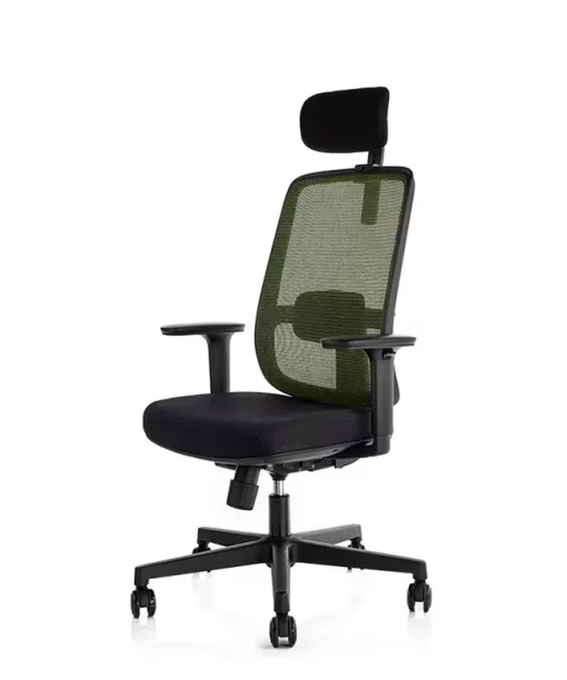 Uredska Stolica PREMIUM ERGO Basic Zelena - Slika 3