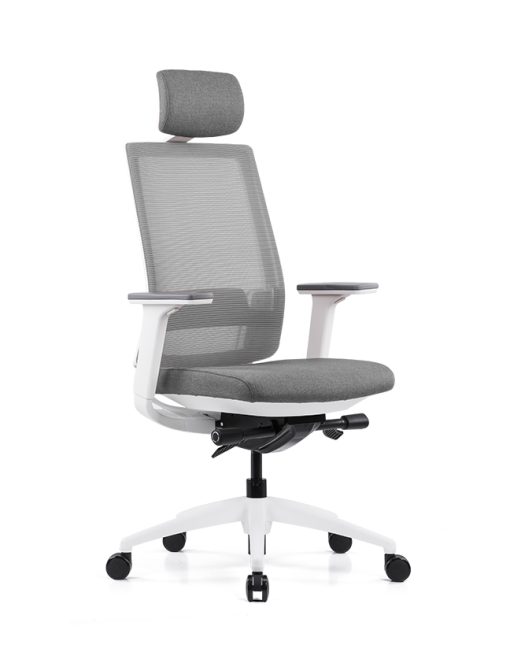 Uredska Stolica PREMIUM ERGO Expert Bijelo-Siva - Slika 2
