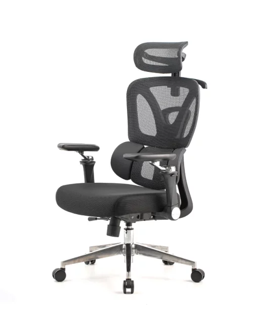 Uredska Stolica PREMIUM ERGO Trek Crna - Slika 8